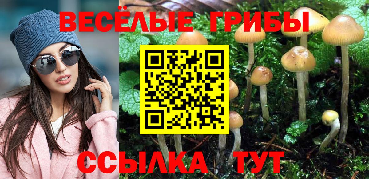 Галлюциногенные грибы ЛСД Димитровград