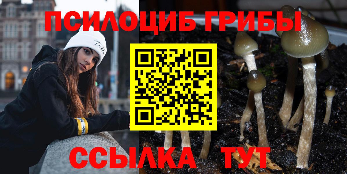 Димитровград  Галлюциногенные грибы Magic Shrooms  Вход с VPN  Псилоцибиновые грибы Psilocybe 